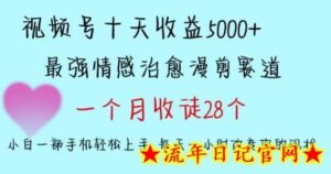 十天收益5000+,多平台捞金,视频号情感治愈漫剪,一个月收徒28个,小白一部手机轻松上手-流年日记