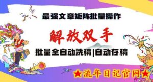 最强文章矩阵批量管理,自动洗稿,自动存稿,月入过万轻轻松松-流年日记