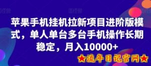 苹果手机挂机拉新项目进阶版模式,单人单台多台手机操作长期稳定,月入10000+-流年日记