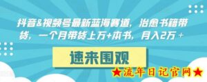 抖音&视频号最新蓝海赛道,治愈书籍带货,一个月带货上万+本书,月入2万+-流年日记