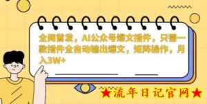 全网首发,AI公众号爆文插件,只需一款插件全自动输出爆文,矩阵操作,月入3W+-流年日记