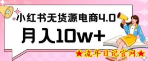 小红书新电商实战,无货源实操从0到1月入10w+联合抖音放大收益-流年日记