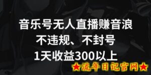 音乐号无人直播赚音浪,不违规、不封号,1天收益300+-流年日记
