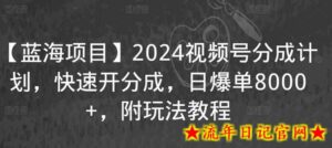 【蓝海项目】2024视频号分成计划,快速开分成,日爆单8000+,附玩法教程-流年日记
