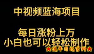 中视频蓝海项目,解读英雄人物生平,每日涨粉上万,小白也可以轻松制作,月入过万不是梦-流年日记