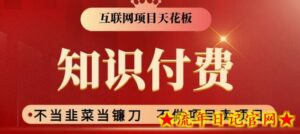2024互联网项目天花板，新手小白也可以通过知识付费月入10W，实现财富自由-流年日记