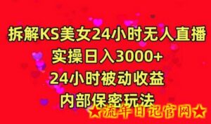 利用快手24小时无人美女直播,实操日入3000,24小时被动收益,内部保密玩法-流年日记