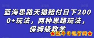 蓝海思路天猫赔付日下2000+玩法，两种思路玩法，保姆级教学-流年日记