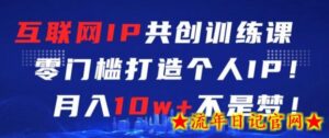 互联网IP共创训练课,零门槛零基础打造个人IP,月入10w+不是梦-流年日记