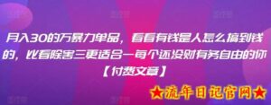 月入30的万暴力单品,看看有钱是人怎么搞到钱的,比看除害三更适合一每个还没财有务自由的你【付费文章】-流年日记