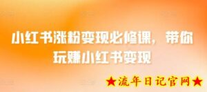 小红书涨粉变现必修课,带你玩赚小红书变现-流年日记