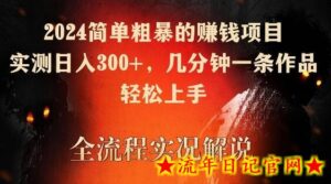 2024简单粗暴的赚钱项目,实测日入300+,几分钟一条作品,轻松上手-流年日记