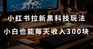 黑科技玩法之:小红书拉新,小白也能日入300元【操作视频教程+黑科技工具】-流年日记
