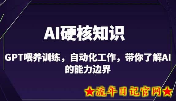 AI硬核知识-GPT喂养训练，自动化工作，带你了解AI的能力边界（10节课）-流年日记