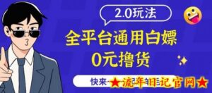 外面收费2980的全平台通用撸货项目2.0玩法-流年日记