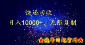 完美落地,暴利快递回收项目。每天收入10000+,可无限放大-流年日记
