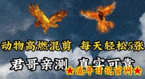 动物超燃混剪,每天轻松5张,剪辑简单大家爱看-流年日记