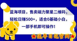 蓝海项目,售卖磁力聚星二维码,轻松日赚500+,适合0基础小白,一部手机即可操作-流年日记