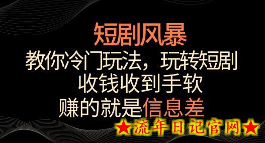 短剧风暴，教你冷门玩法，玩转短剧，收钱收到手软-流年日记