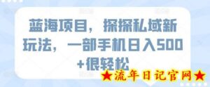 蓝海项目,探探私域新玩法,一部手机日入500+很轻松-流年日记