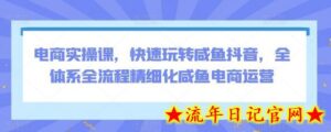 电商实操课，快速玩转咸鱼抖音，全体系全流程精细化咸鱼电商运营-流年日记