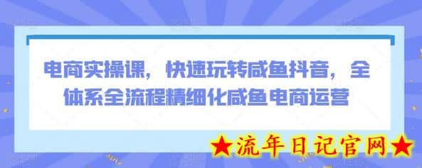 电商实操课，快速玩转咸鱼抖音，全体系全流程精细化咸鱼电商运营-流年日记