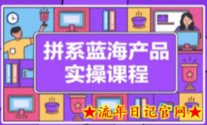 拼系冷门蓝海产品实操课程,从注册店铺到选品上架到流量维护环环相扣-流年日记