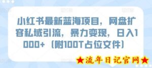 小红书最新蓝海项目,网盘扩容私域引流,暴力变现,日入1000+(附100T占位文件)-流年日记