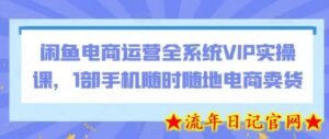 闲鱼电商运营全系统VIP实操课,1部手机随时随地电商卖货-流年日记
