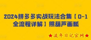 2024拼多多实战玩法合集【0-1全流程详解】照葫芦画瓢-流年日记