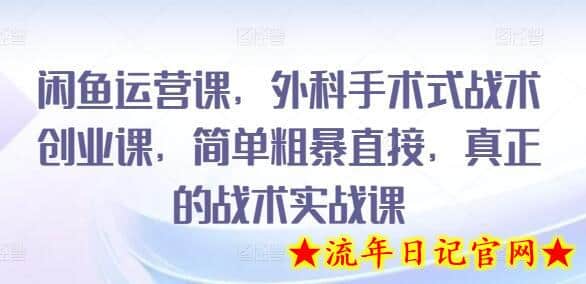 闲鱼运营课，外科手术式战术创业课，简单粗暴直接，真正的战术实战课-流年日记