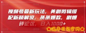 视频号最新玩法,美剧剪辑搭配新颖解说,条条爆款,剧爆评论区,日入1000+-流年日记