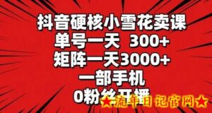 抖音硬核小雪花卖课,单号一天300+,矩阵一天3000+,一部手机0粉丝开播-流年日记