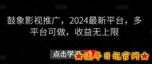 鼓象影视推广,2024最新平台,多平台可做,收益无上限-流年日记