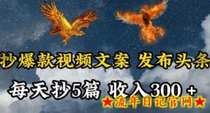 通过抄爆款视频文案,每天轻松三五张,操作简单容易上手-流年日记