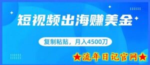 短视频出海赚美金,复制粘贴批量操作,小白轻松掌握,月入4500美刀-流年日记