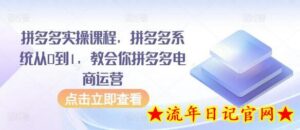 拼多多实操课程,拼多多系统从0到1,教会你拼多多电商运营-流年日记