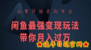 从零开始走向专业，闲鱼最强变现玩法带你月入过万-流年日记