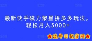 最新快手磁力聚星拼多多玩法,轻松月入5000+-流年日记
