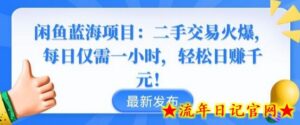 闲鱼蓝海项目：二手交易火爆，每日仅需一小时，轻松日赚千元-流年日记