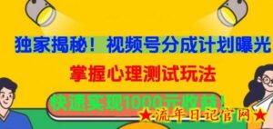独家揭秘！视频号分成计划曝光，掌握心理测试玩法，快速实现1000元收益-流年日记
