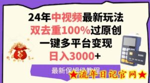 中视频24年最新玩法,双去重100%过原创,一键多平台变现,日入3000+ 保姆级教程-流年日记