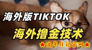 抖音海外版tiktok撸金技术,这个风口行业,赚钱真的不难-流年日记