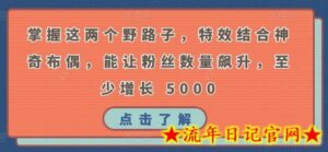 掌握这两个野路子，特效结合神奇布偶，能让粉丝数量飙升，至少增长 5000-流年日记