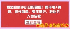 最适合新手小白的副业!薅羊毛+躺赚,操作简单,有手就行,轻松日入四位数-流年日记