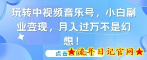 玩转中视频音乐号,小白副业变现,月入过万不是幻想-流年日记