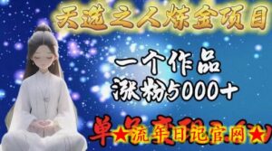 天选之人炼金项目,一个作品涨粉5000+,单号变现3.6w-流年日记
