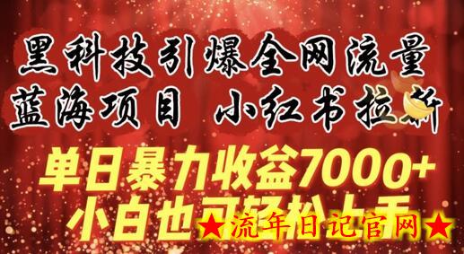 蓝海项目!黑科技引爆全网流量小红书拉新，单日暴力收益7000+，小白也能轻松上手-流年日记