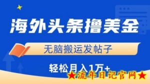 海外头条赚美金,无脑搬运发帖子,月入1万+,小白轻松掌握-流年日记