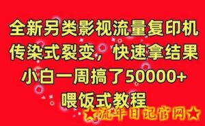 全新另类影视流量复印机,传染式裂变,快速拿结果,小白一周搞了50000+,喂饭式教程-流年日记